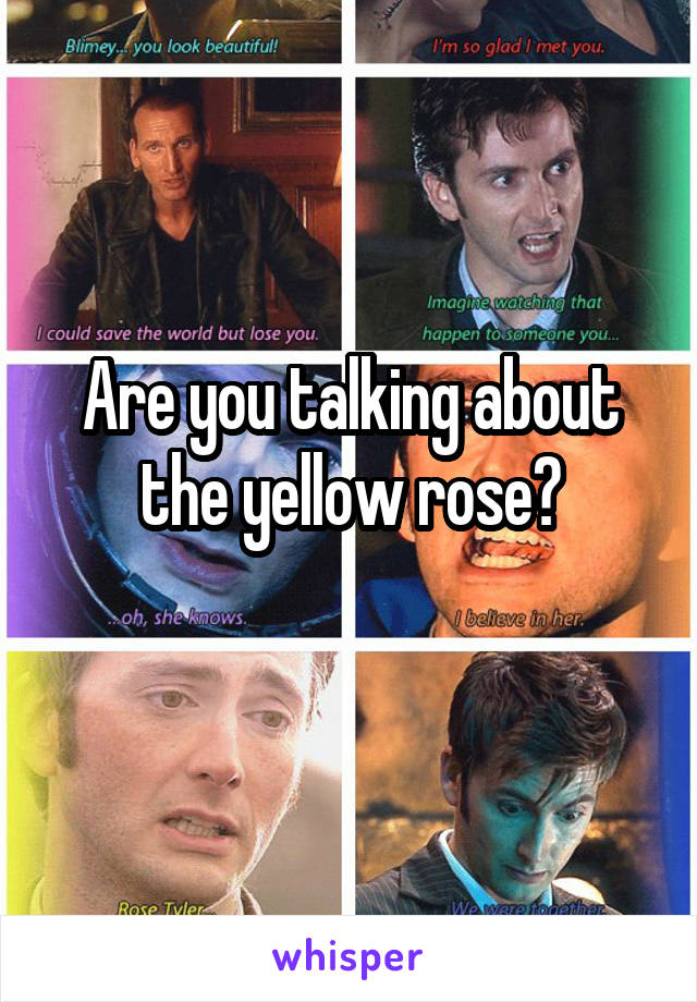 Are you talking about the yellow rose?
