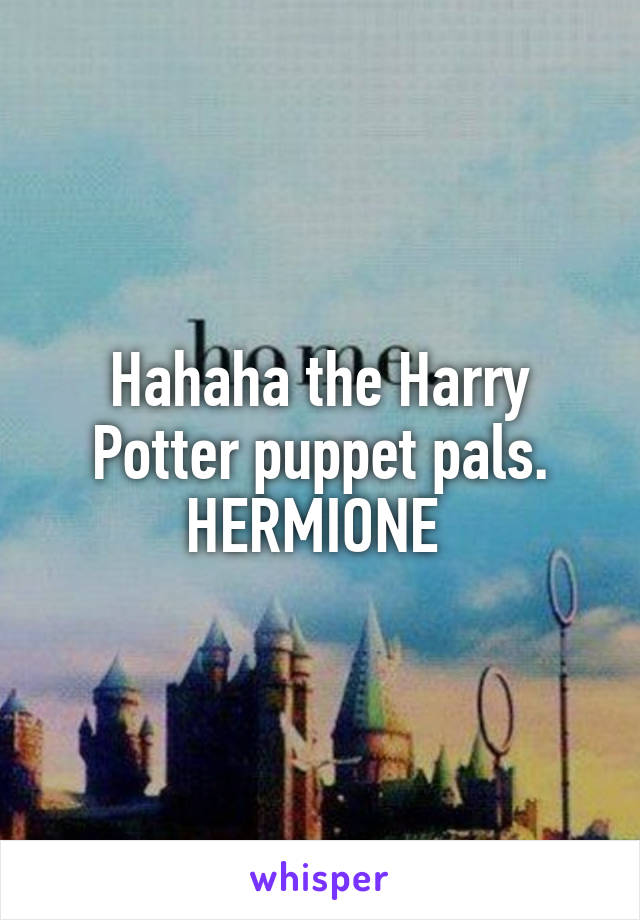 Hahaha the Harry Potter puppet pals. HERMIONE 