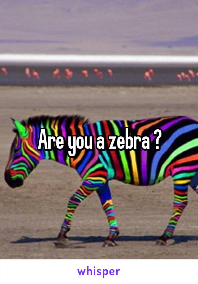 Are you a zebra ?