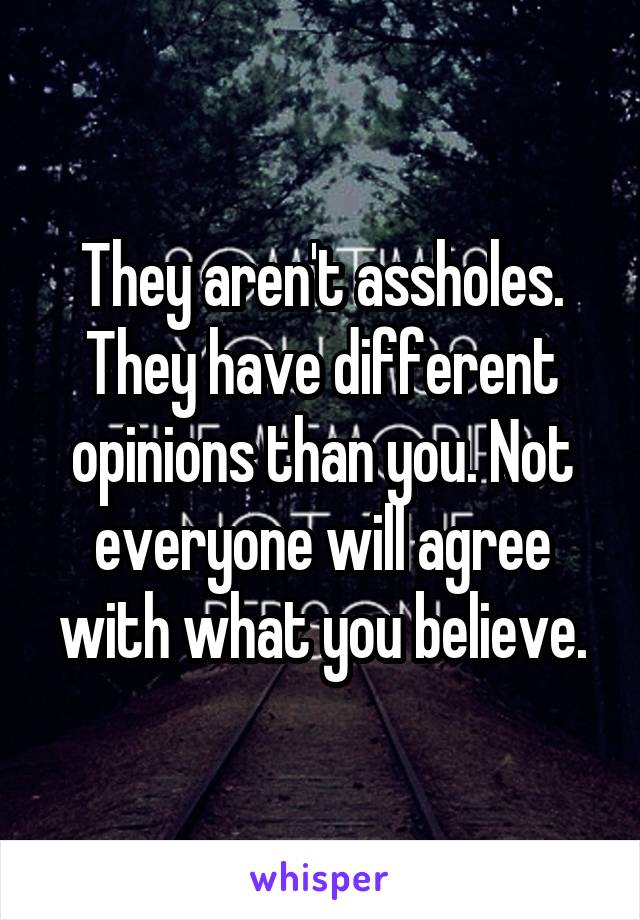 They aren't assholes. They have different opinions than you. Not everyone will agree with what you believe.