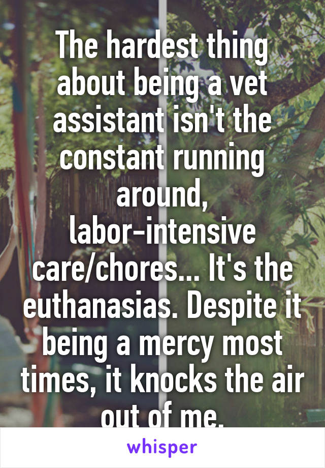 The hardest thing about being a vet assistant isn't the constant running around, labor-intensive care/chores... It's the euthanasias. Despite it being a mercy most times, it knocks the air out of me.