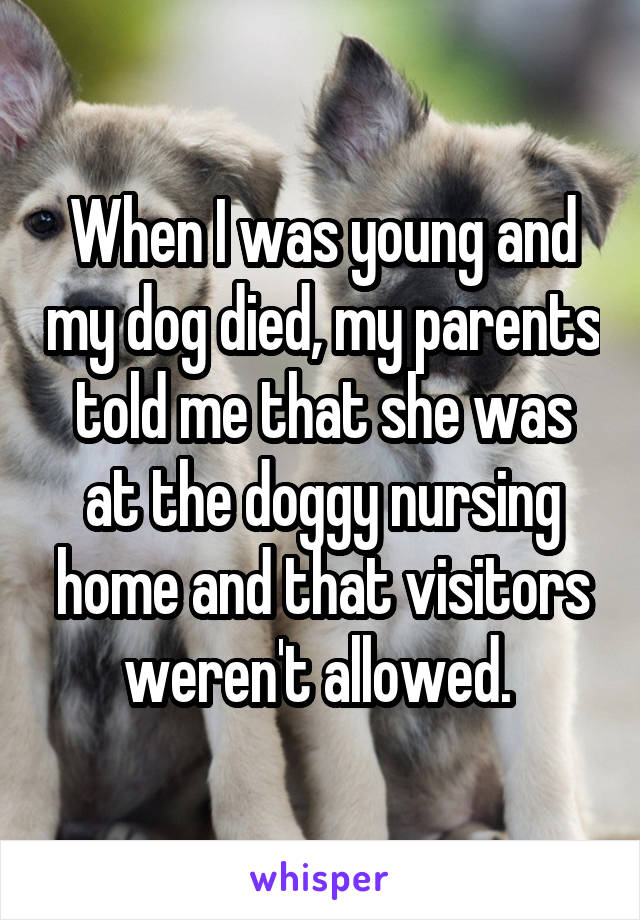 When I was young and my dog died, my parents told me that she was at the doggy nursing home and that visitors weren't allowed. 