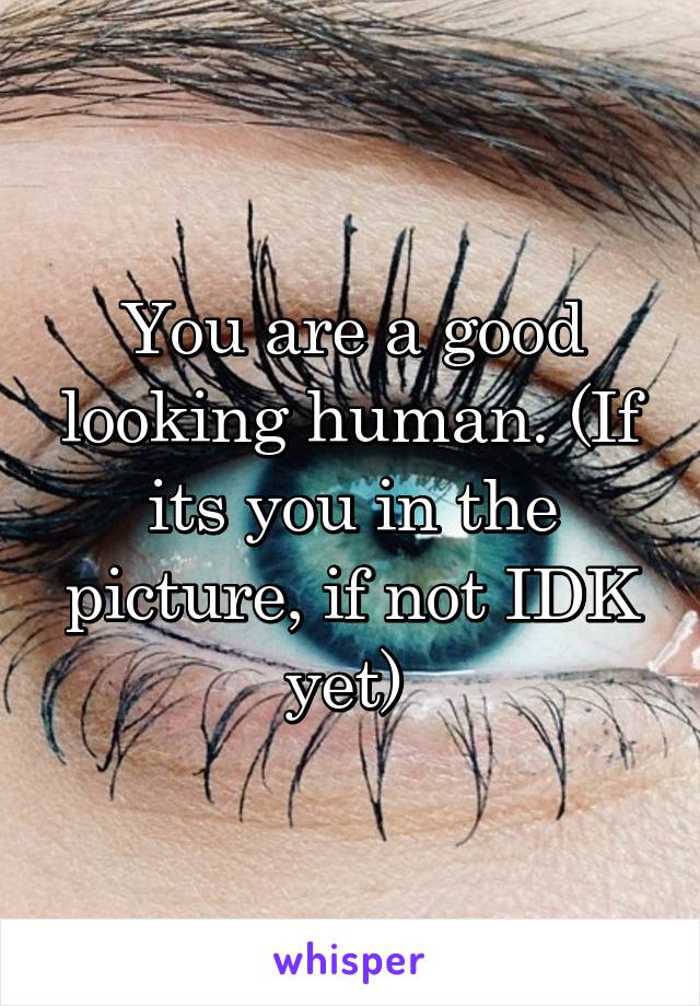 You are a good looking human. (If its you in the picture, if not IDK yet) 