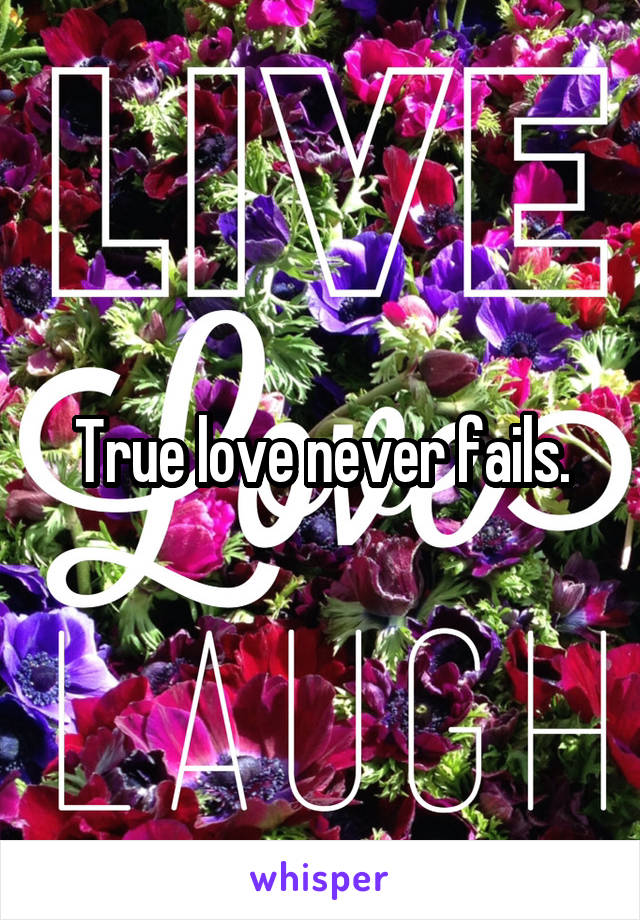 True love never fails.