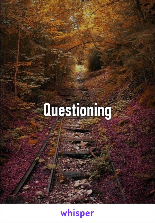  Questioning 