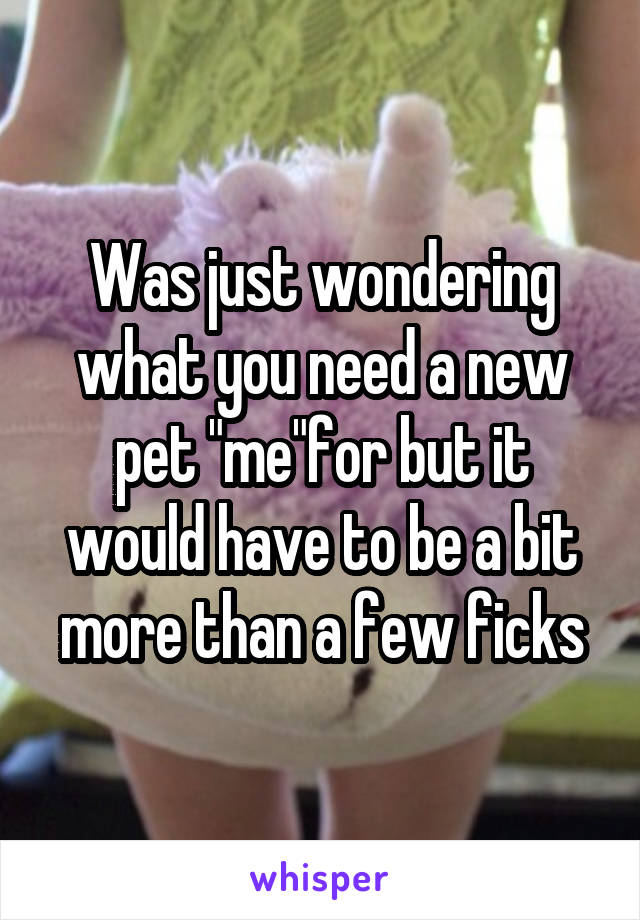 Was just wondering what you need a new pet "me"for but it would have to be a bit more than a few ficks