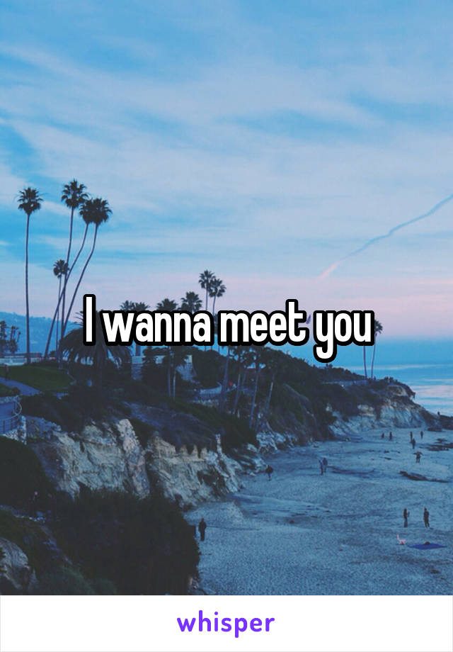 I wanna meet you