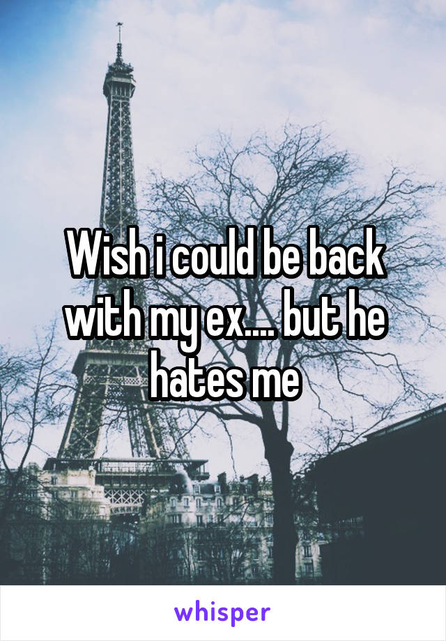 Wish i could be back with my ex.... but he hates me