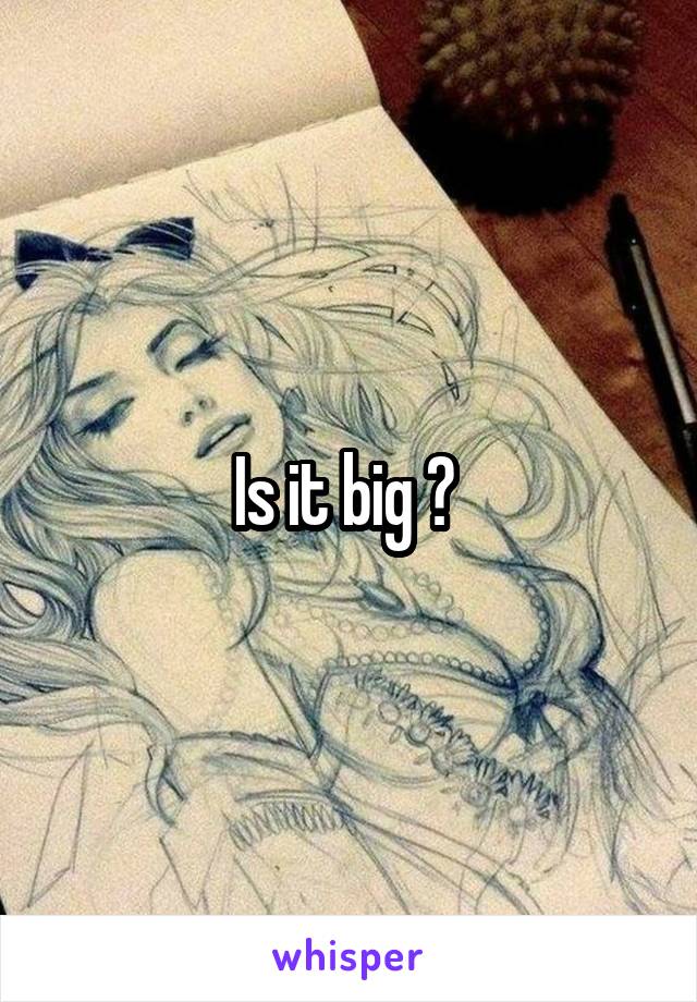 Is it big ? 