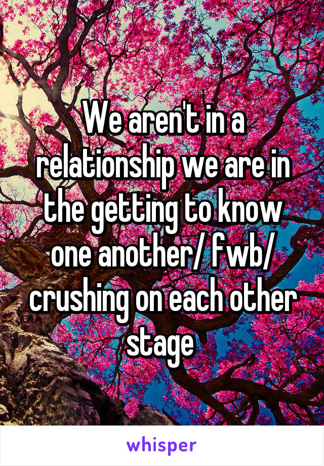 We aren't in a relationship we are in the getting to know one another/ fwb/ crushing on each other stage 