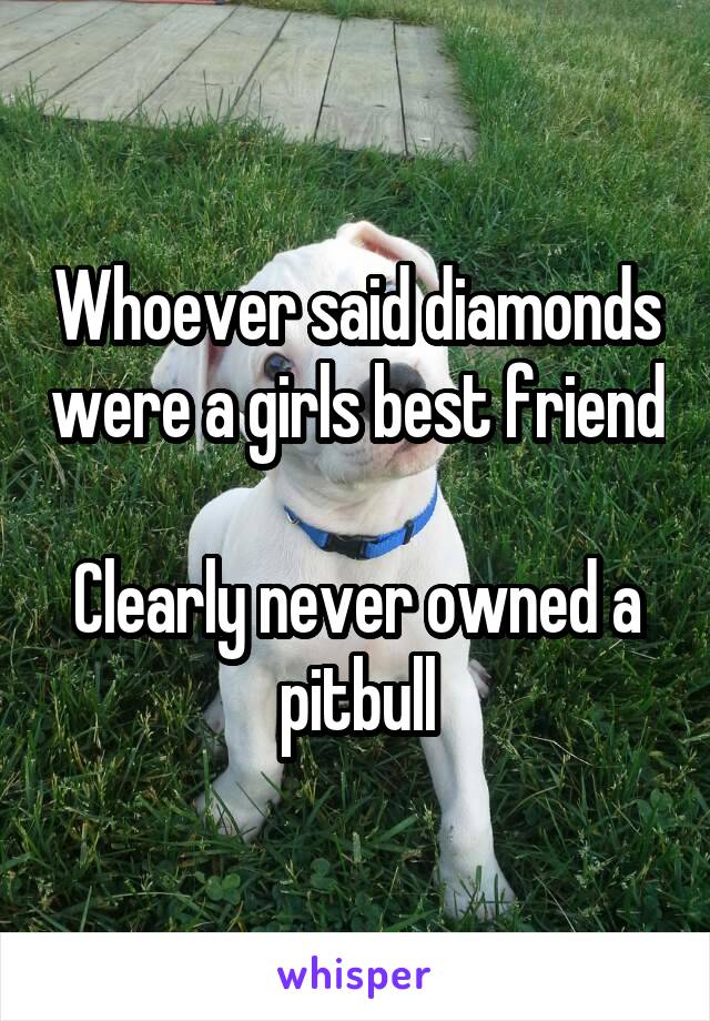 Whoever said diamonds were a girls best friend 
Clearly never owned a pitbull