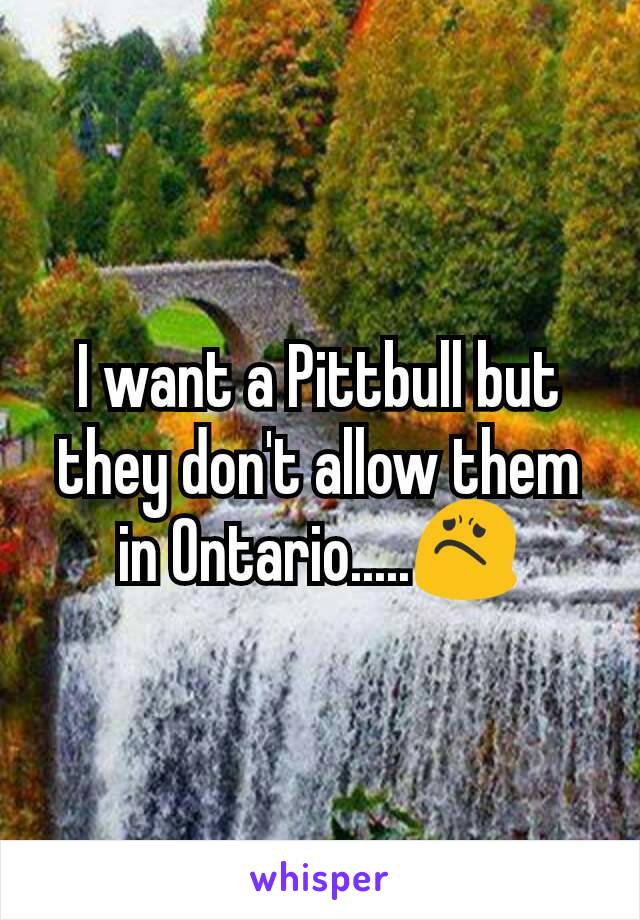 I want a Pittbull but they don't allow them in Ontario.....😟