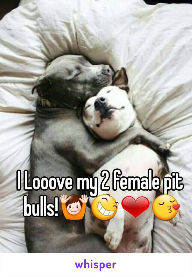 I Looove my 2 female pit bulls!🙌😆❤😚