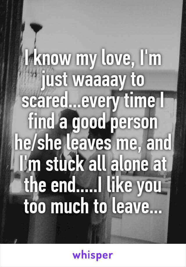 I know my love, I'm just waaaay to scared...every time I find a good person he/she leaves me, and I'm stuck all alone at the end.....I like you too much to leave...