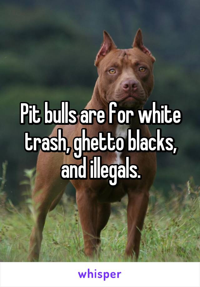 Pit bulls are for white trash, ghetto blacks, and illegals.