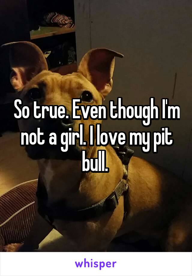 So true. Even though I'm not a girl. I love my pit bull. 