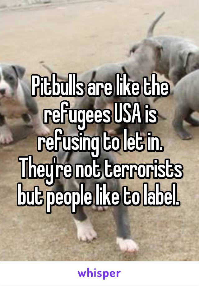 Pitbulls are like the refugees USA is refusing to let in. They're not terrorists but people like to label. 