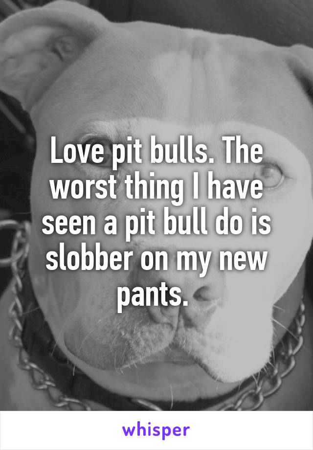 Love pit bulls. The worst thing I have seen a pit bull do is slobber on my new pants. 