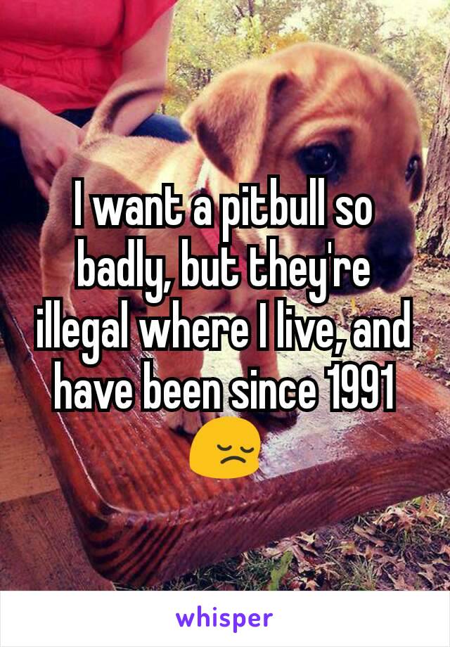 I want a pitbull so badly, but they're illegal where I live, and have been since 1991 😔