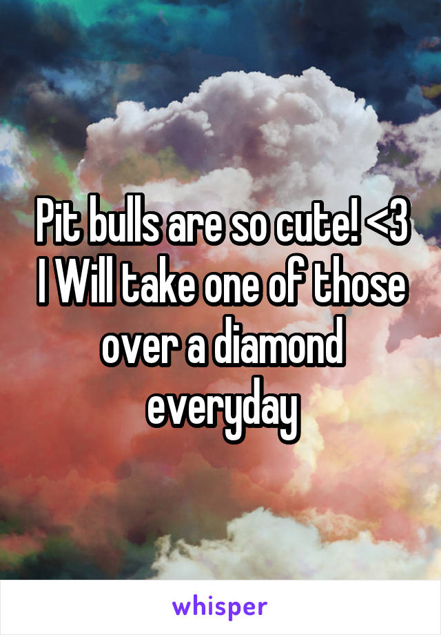 Pit bulls are so cute! <3 I Will take one of those over a diamond everyday