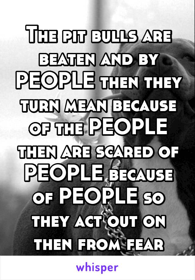 The pit bulls are beaten and by PEOPLE then they turn mean because of the PEOPLE then are scared of PEOPLE because of PEOPLE so they act out on then from fear