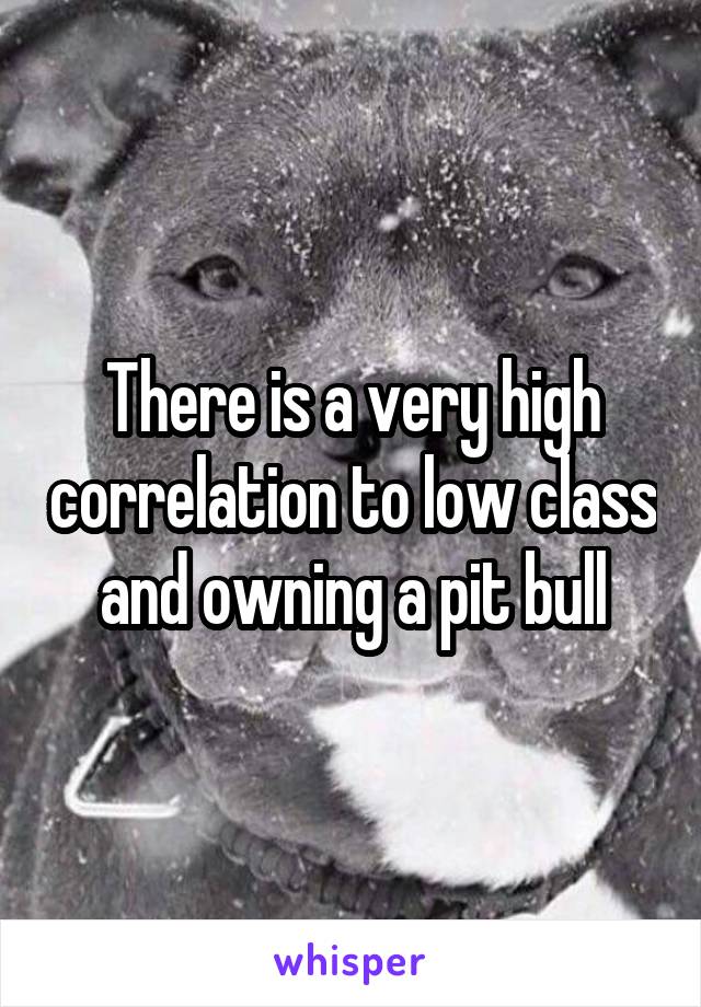 There is a very high correlation to low class and owning a pit bull