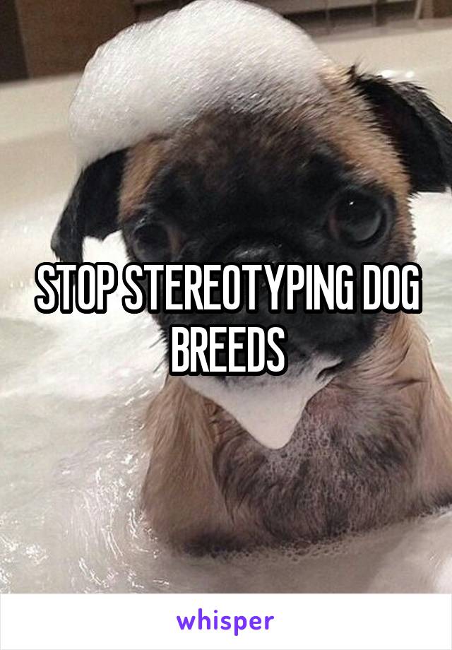 STOP STEREOTYPING DOG BREEDS