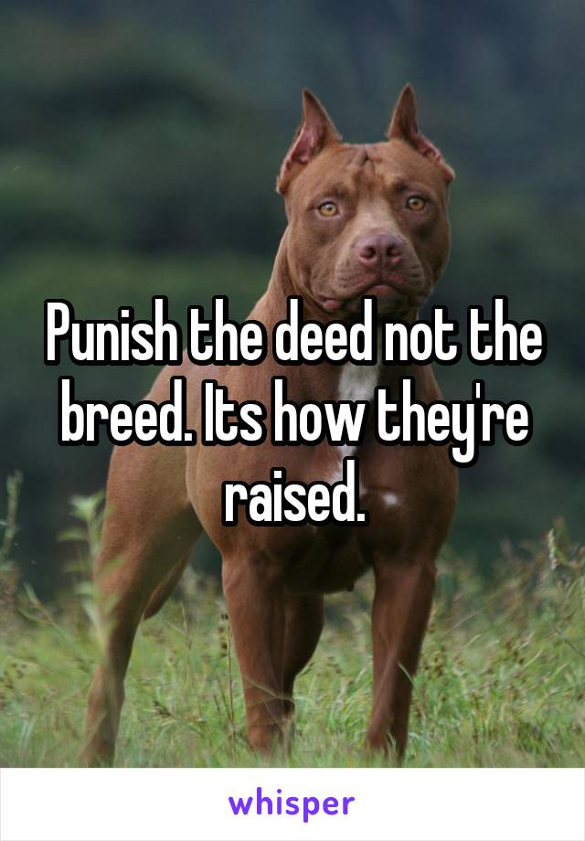 Punish the deed not the breed. Its how they're raised.