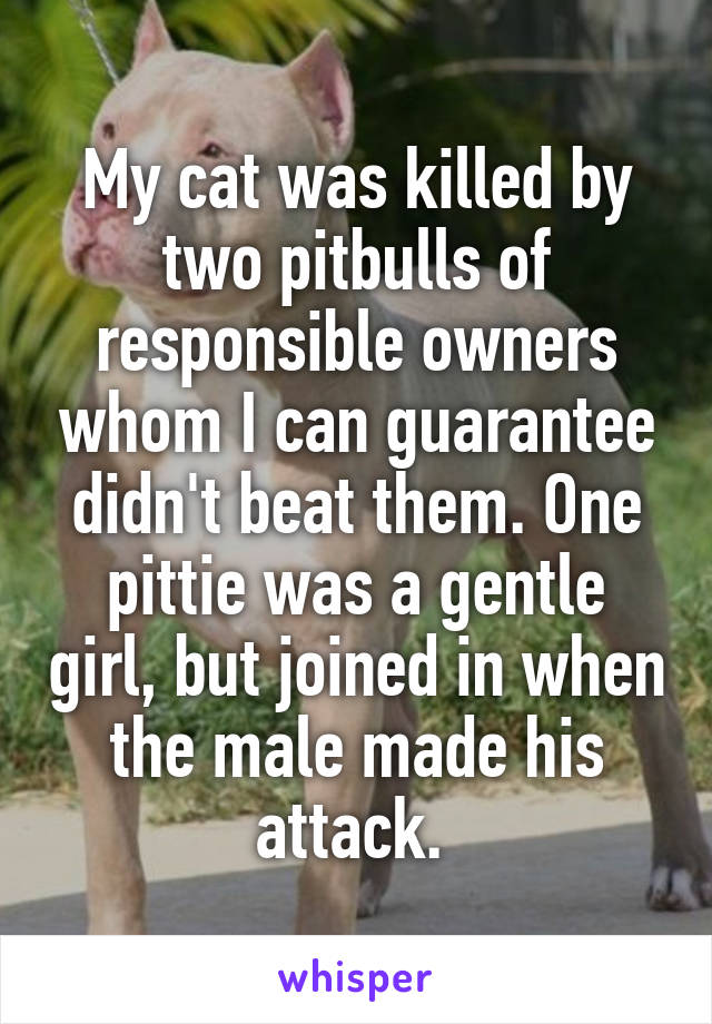 My cat was killed by two pitbulls of responsible owners whom I can guarantee didn't beat them. One pittie was a gentle girl, but joined in when the male made his attack. 