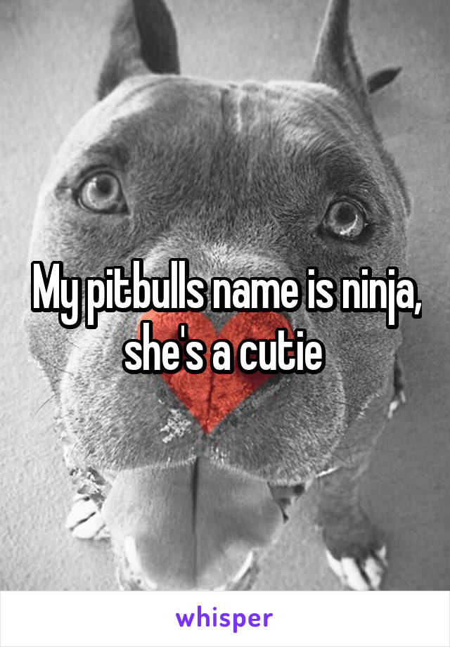 My pitbulls name is ninja, she's a cutie 