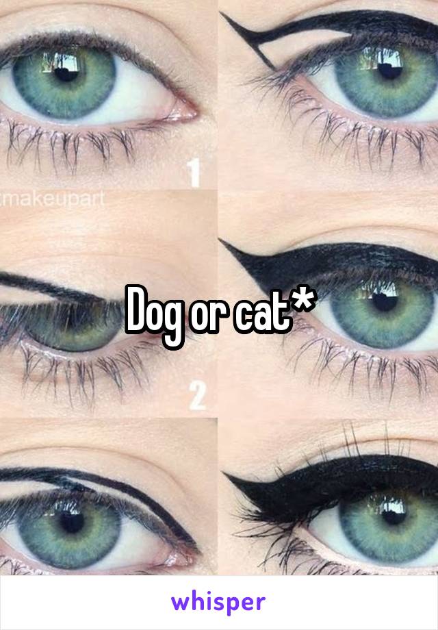 Dog or cat*