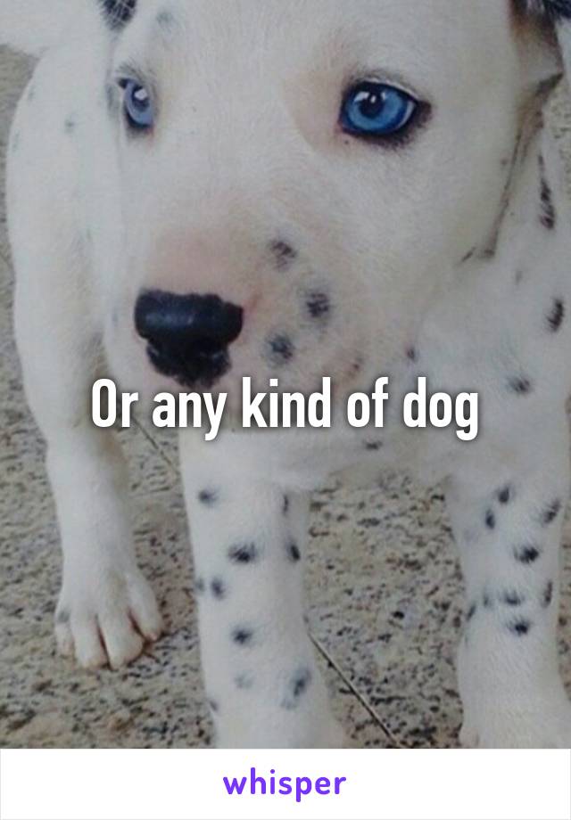 Or any kind of dog