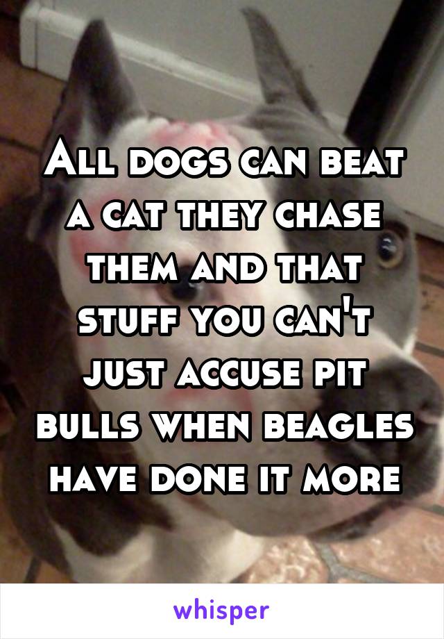 All dogs can beat a cat they chase them and that stuff you can't just accuse pit bulls when beagles have done it more