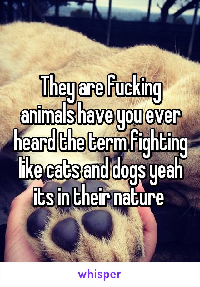 They are fucking animals have you ever heard the term fighting like cats and dogs yeah its in their nature 