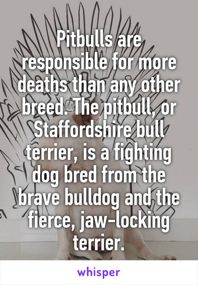 Pitbulls are responsible for more deaths than any other breed. The pitbull, or Staffordshire bull terrier, is a fighting dog bred from the brave bulldog and the fierce, jaw-locking terrier.