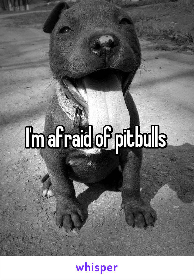 I'm afraid of pitbulls 