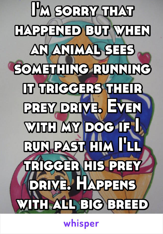 I'm sorry that happened but when an animal sees something running it triggers their prey drive. Even with my dog if I run past him I'll trigger his prey drive. Happens with all big breed dogs 