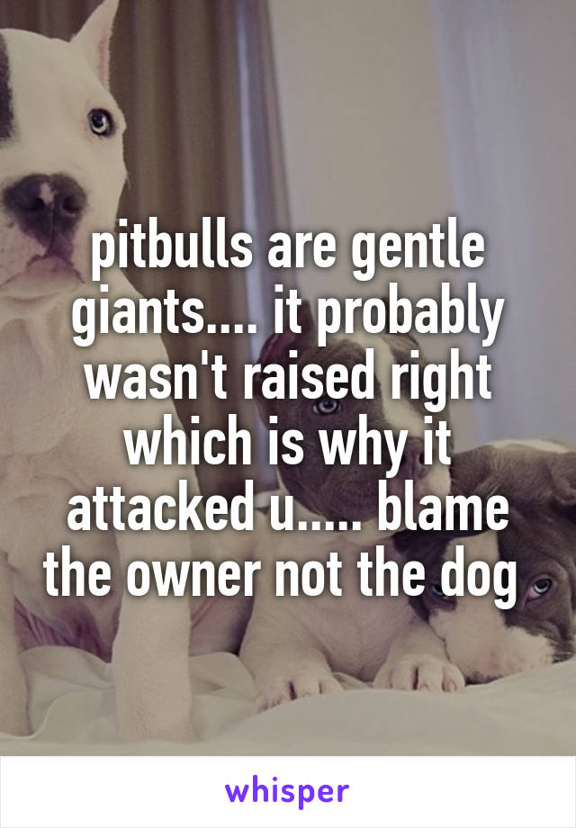 pitbulls are gentle giants.... it probably wasn't raised right which is why it attacked u..... blame the owner not the dog 