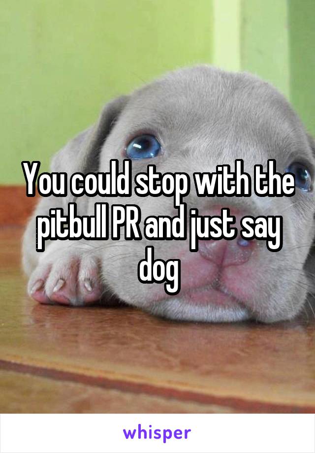 You could stop with the pitbull PR and just say dog