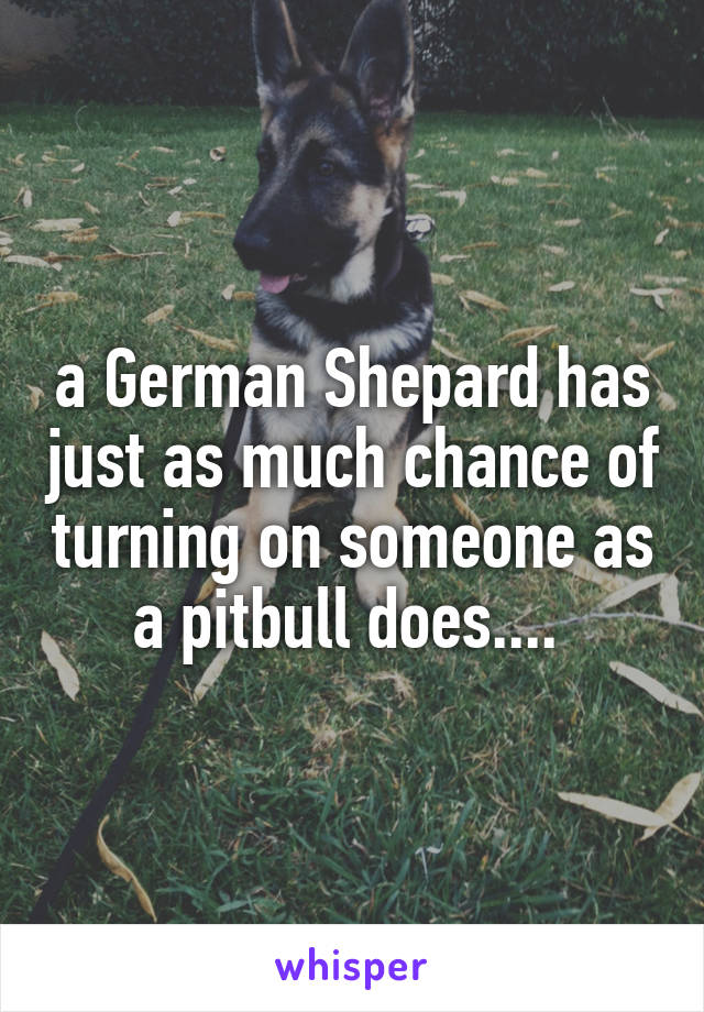 a German Shepard has just as much chance of turning on someone as a pitbull does.... 