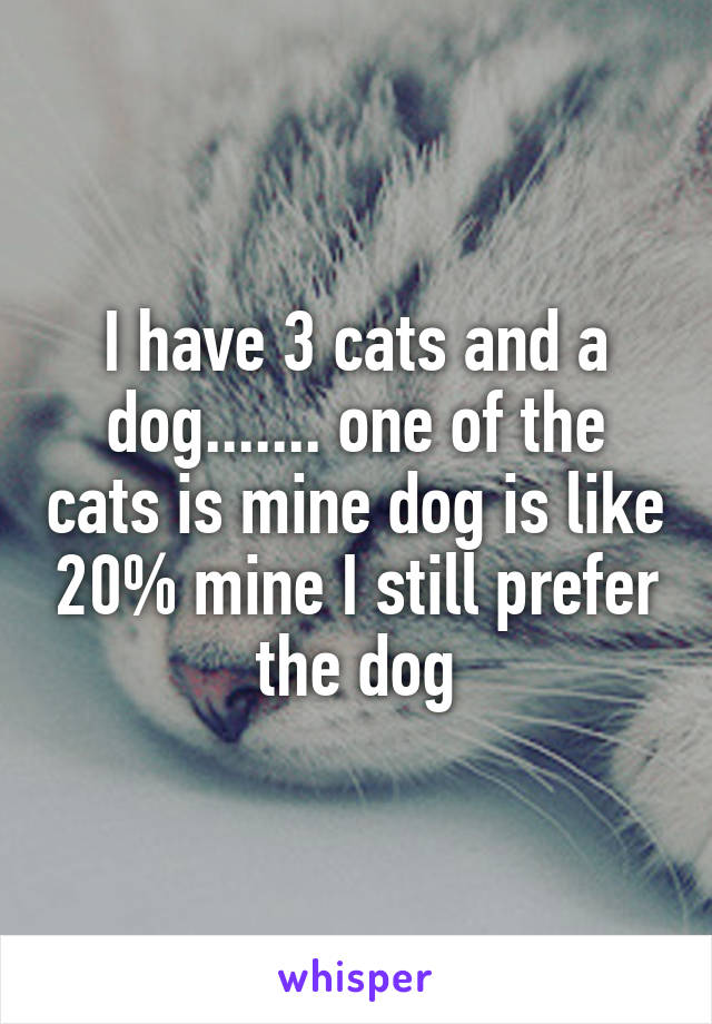 I have 3 cats and a dog....... one of the cats is mine dog is like 20% mine I still prefer the dog