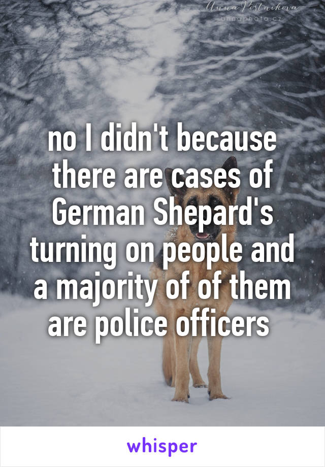 no I didn't because there are cases of German Shepard's turning on people and a majority of of them are police officers 