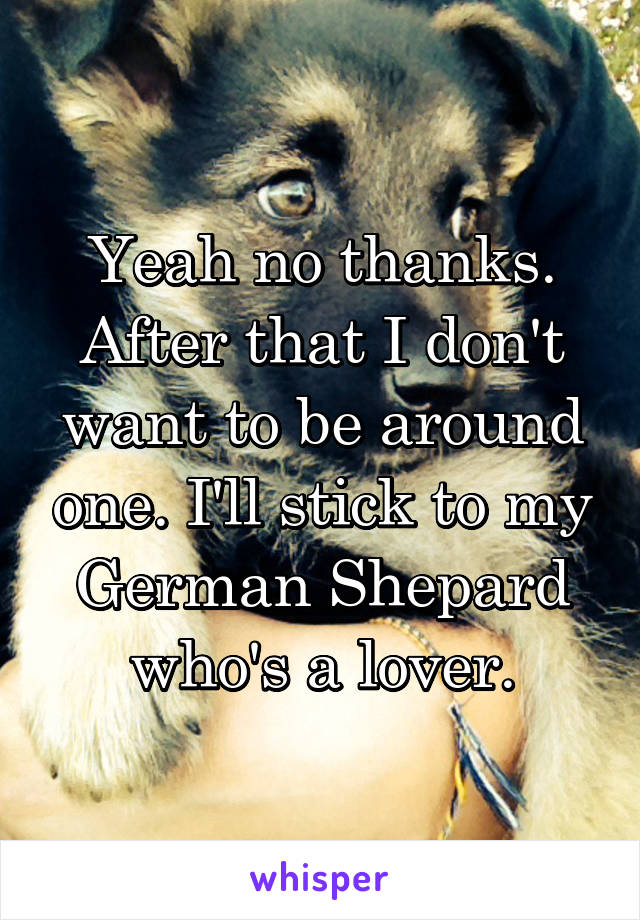 Yeah no thanks. After that I don't want to be around one. I'll stick to my German Shepard who's a lover.