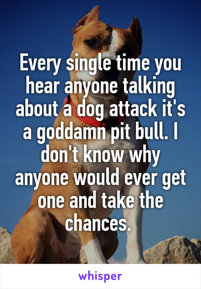 Every single time you hear anyone talking about a dog attack it's a goddamn pit bull. I don't know why anyone would ever get one and take the chances. 