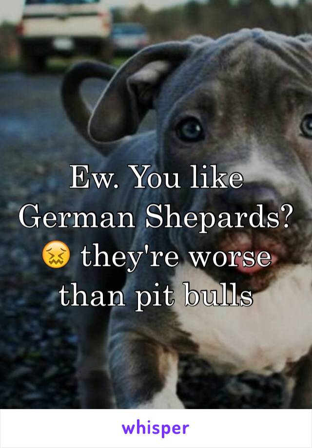 Ew. You like German Shepards?😖 they're worse than pit bulls 