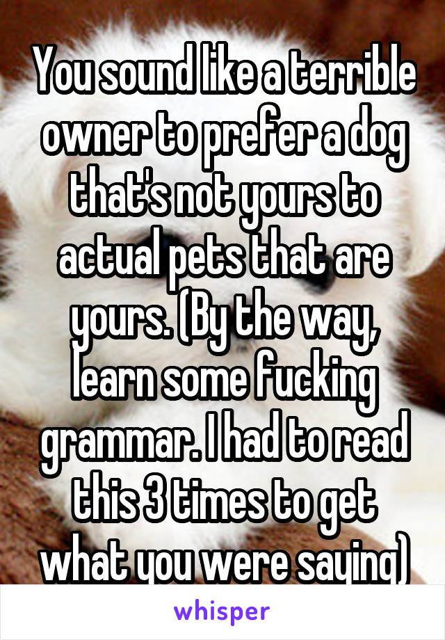 You sound like a terrible owner to prefer a dog that's not yours to actual pets that are yours. (By the way, learn some fucking grammar. I had to read this 3 times to get what you were saying)