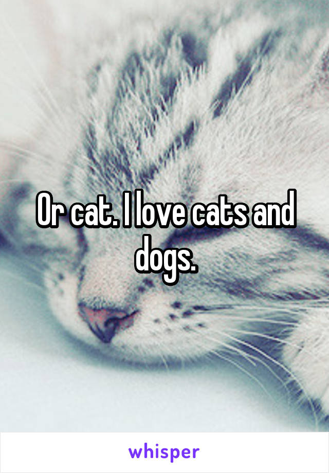 Or cat. I love cats and dogs.