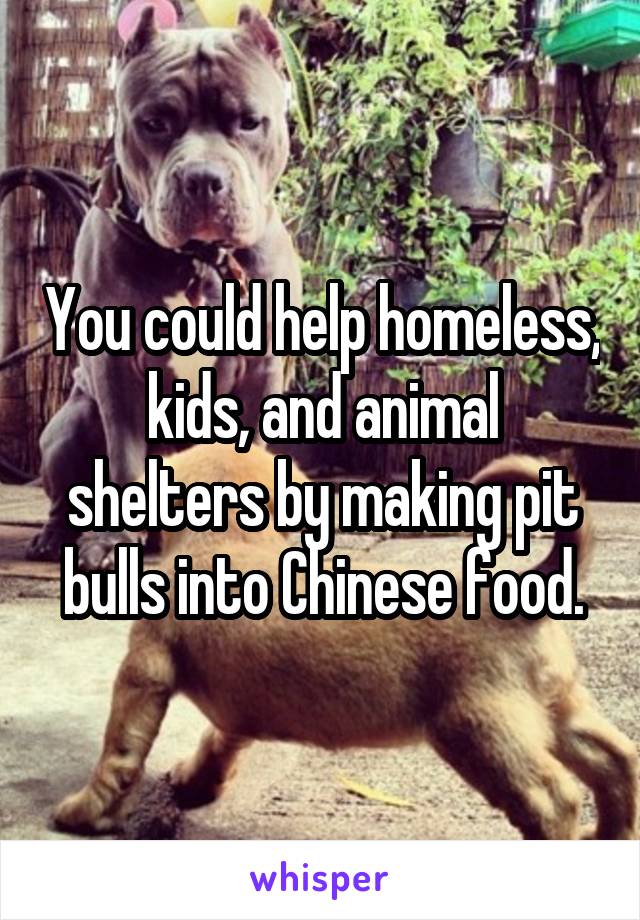 You could help homeless, kids, and animal shelters by making pit bulls into Chinese food.