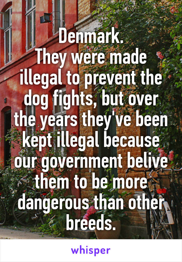 Denmark.
They were made illegal to prevent the dog fights, but over the years they've been kept illegal because our government belive them to be more dangerous than other breeds.