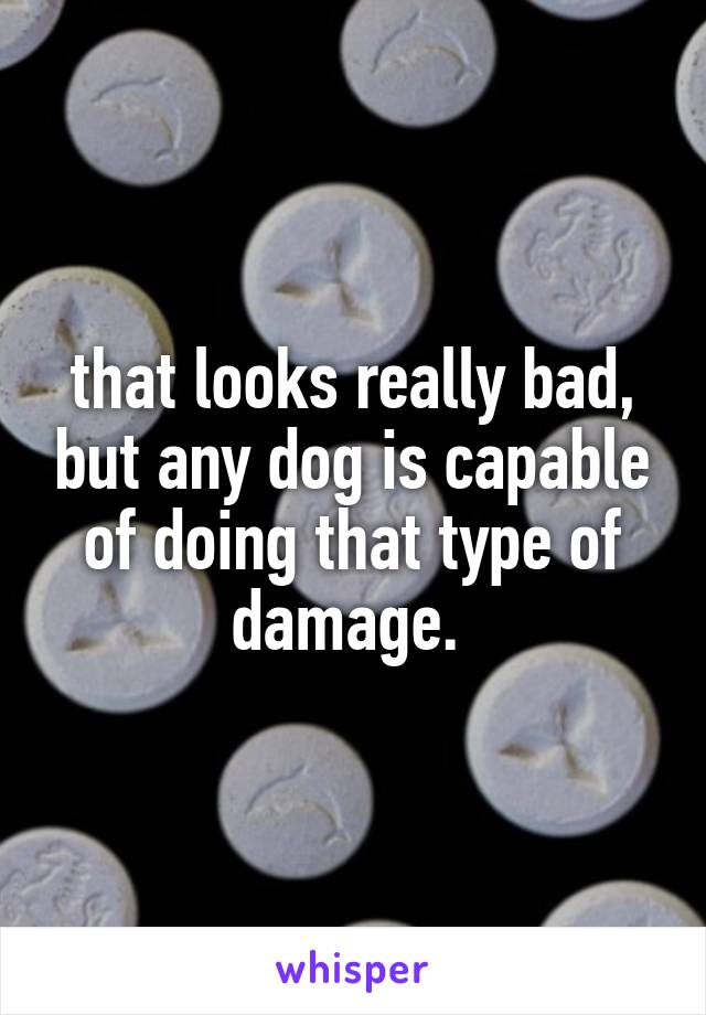 that looks really bad, but any dog is capable of doing that type of damage. 